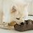 RYE //ENRICHMENT DOG TOY
