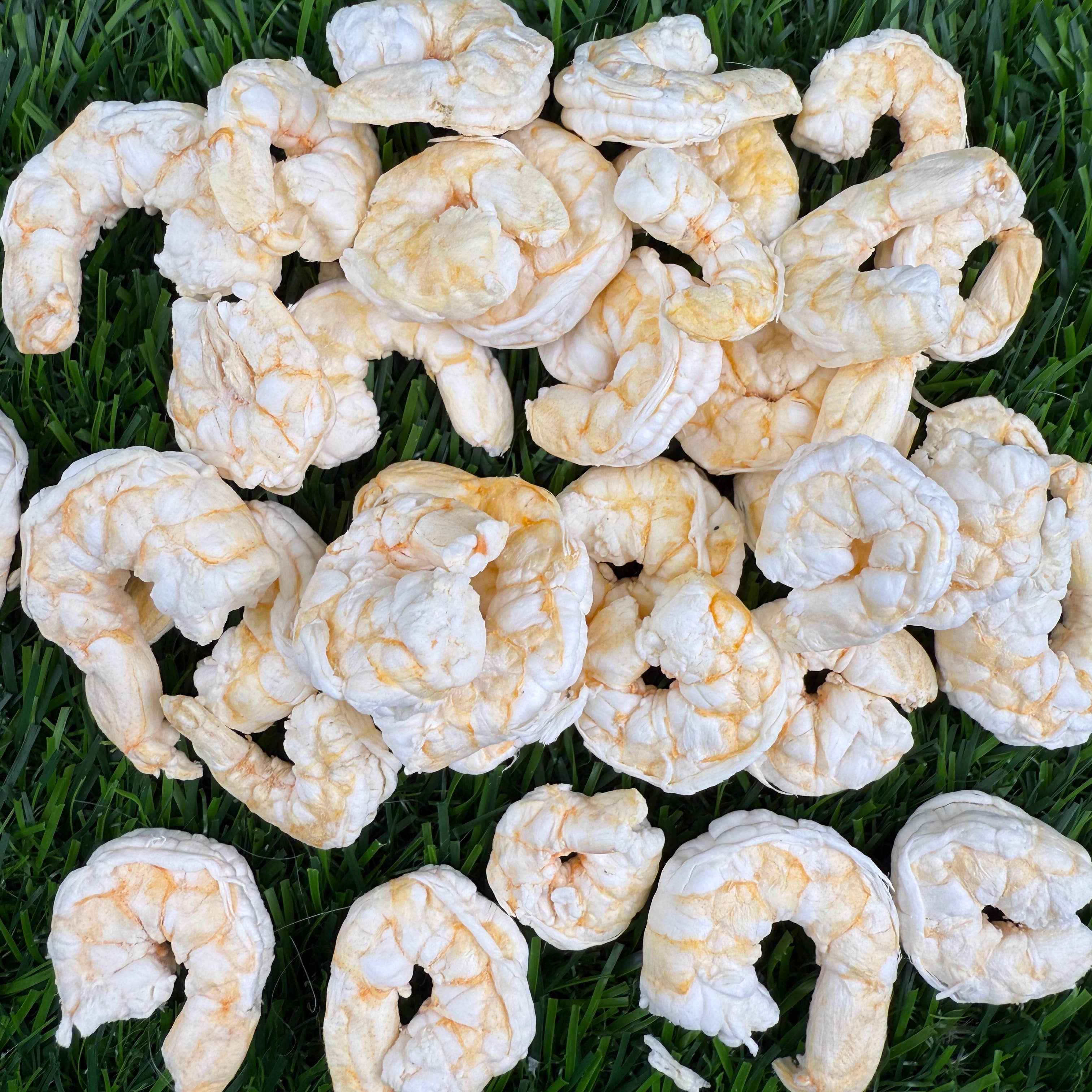 Baby Shrimp (singles) - Freeze Dried Treats for Dogs & Cats