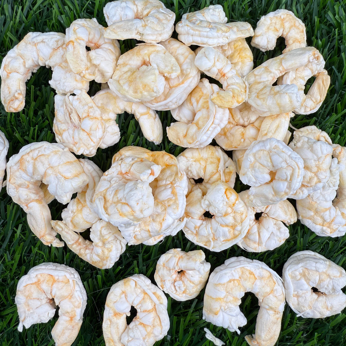 Baby Shrimp (singles) - Freeze Dried Treats for Dogs & Cats