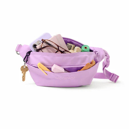 Hands-Free Dog Walking Bag (leash included)
