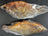White Bass Fish WHOLE ( JUMBO FISH)