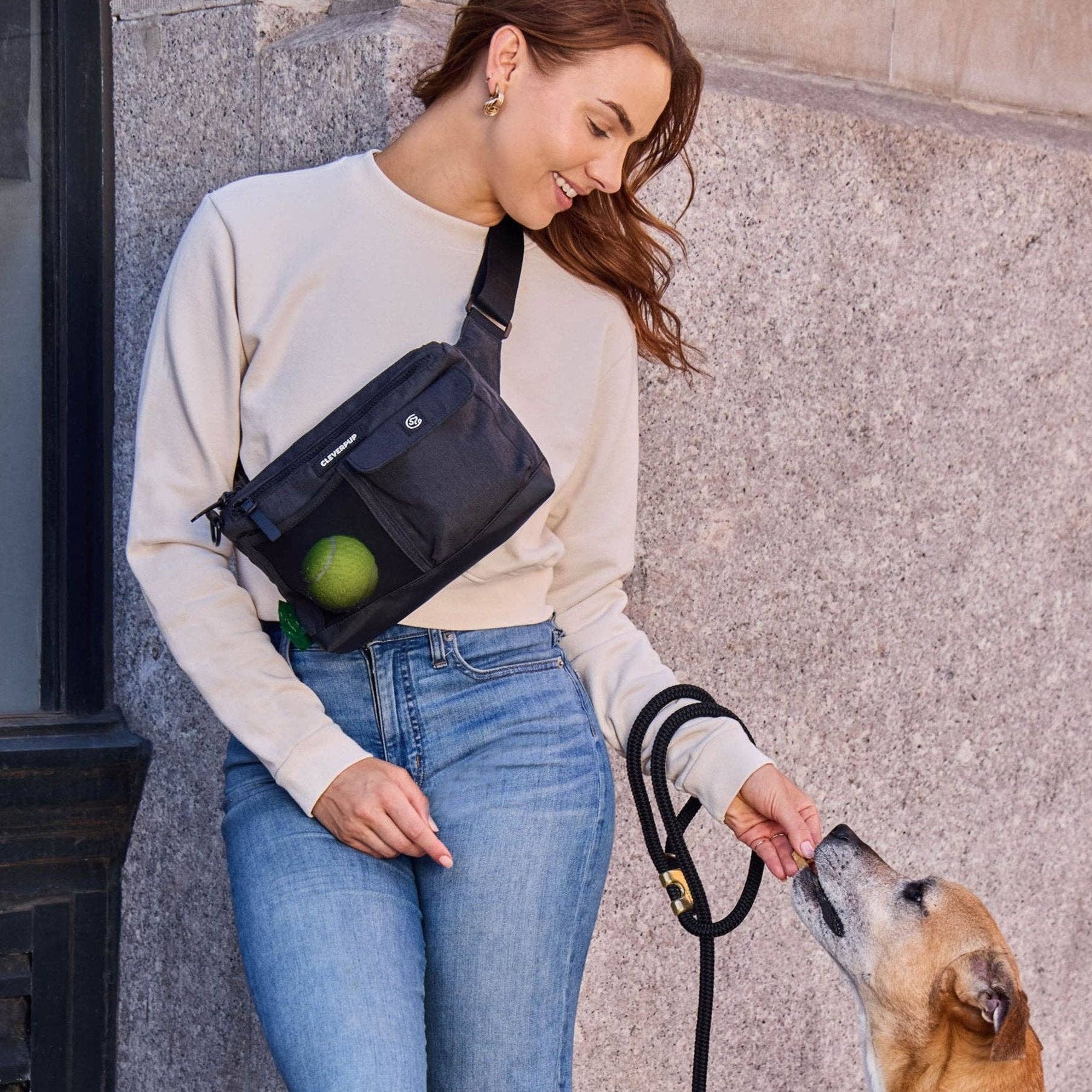 Dog Walk & Train Sling Bag (with squeaker)