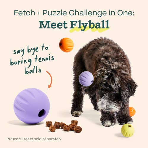 FlyBall 3 Pack