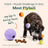 FlyBall 3 Pack