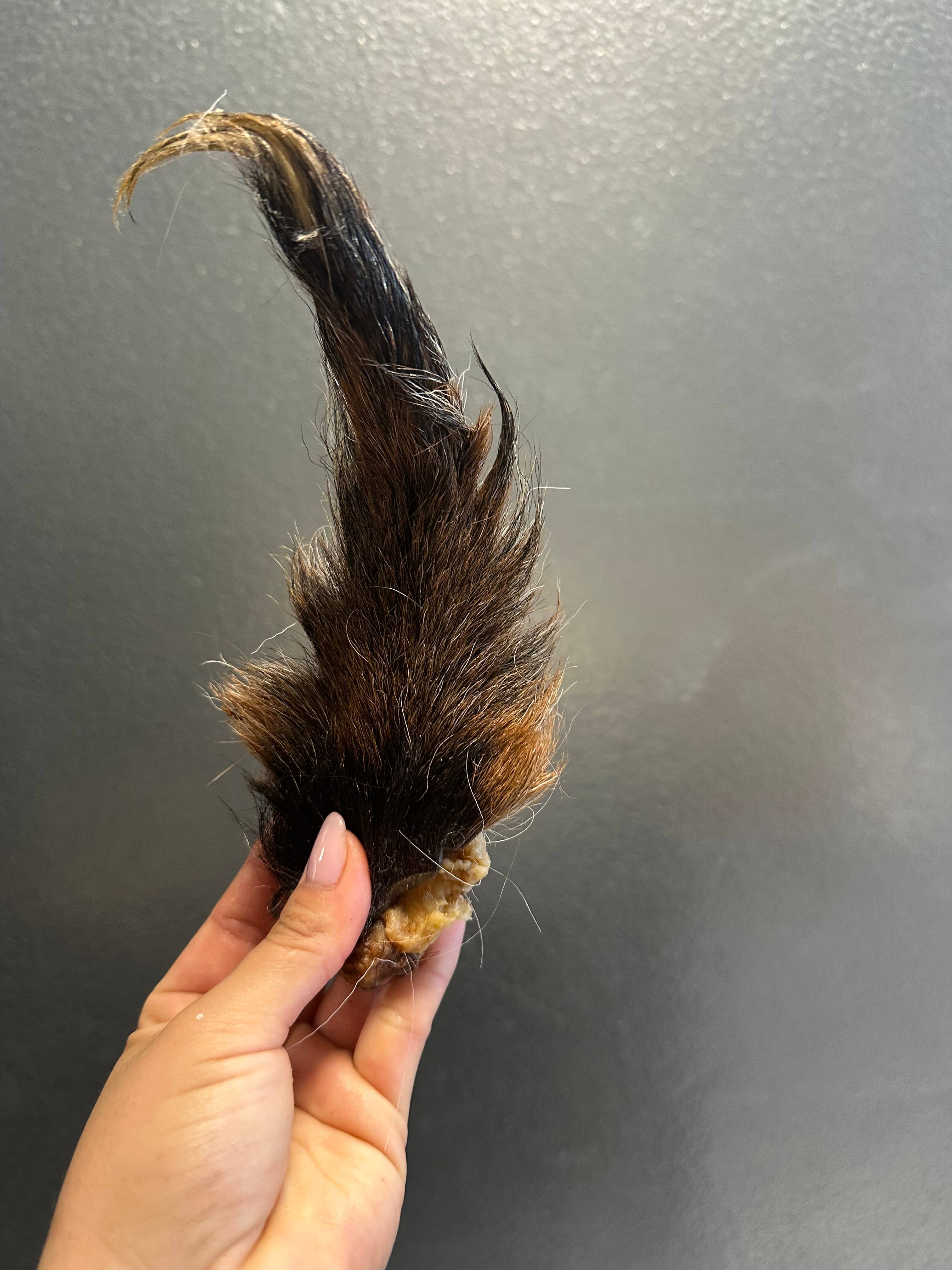 Goat Tail 