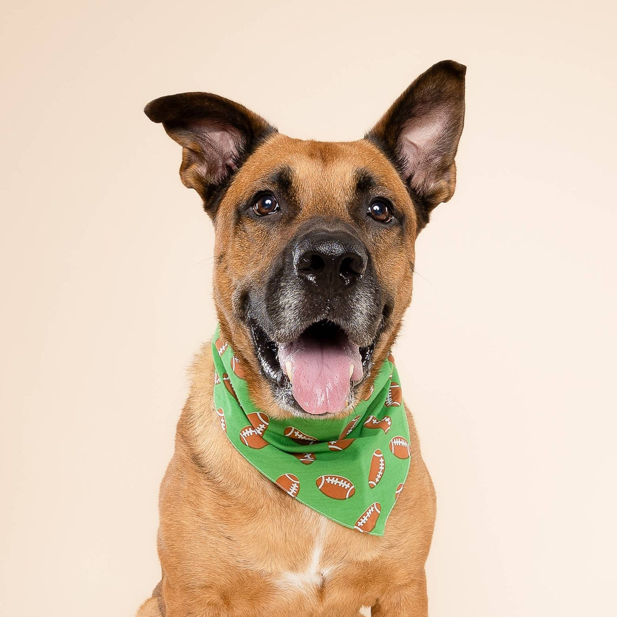 Defender Football Dog Bandana