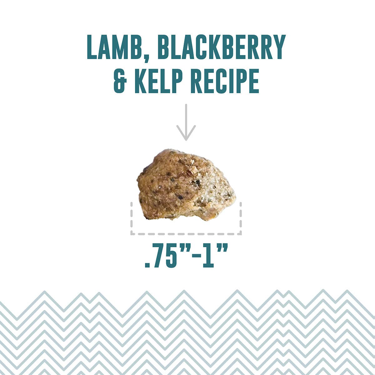 Lamb, Blackberry & Kelp Recipe Soft & Chewy Bites for Dogs