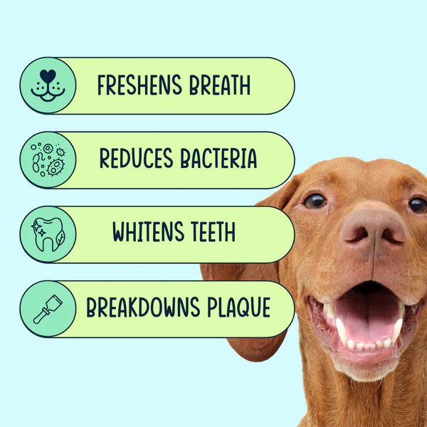 Dental Dust Dental Powder for Dogs