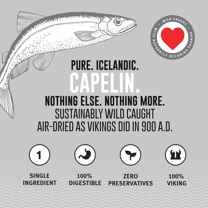 Icelandic Capelin Whole Fish & Pieces Dog Treat