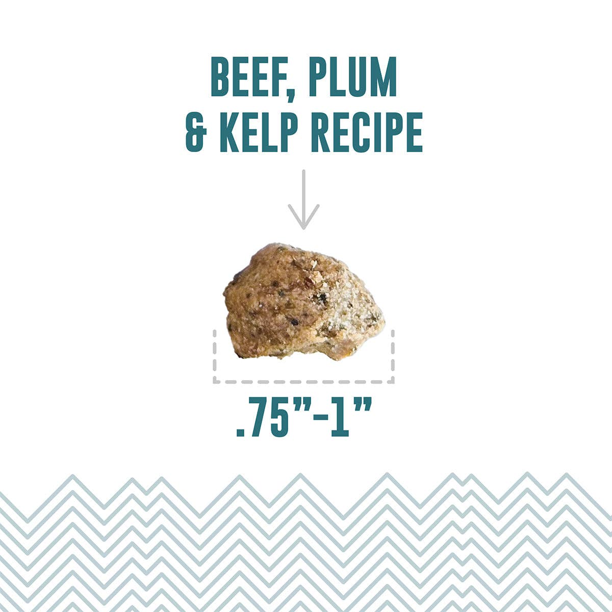 Beef, Plum & Kelp Recipe Soft & Chewy Bites for Dogs