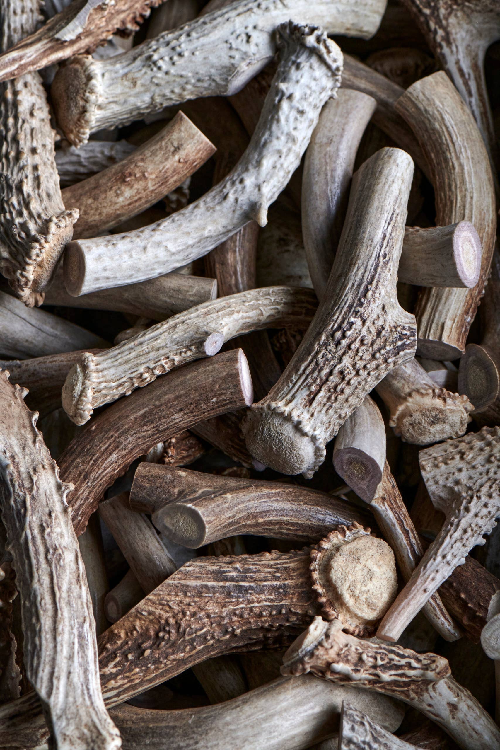 Deer Antler Dog Chews