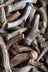Deer Antler Dog Chews