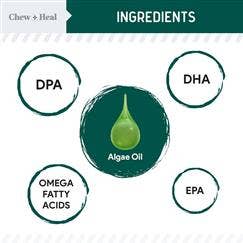 Vegan Omega-3 Skin and Coat Supplement for Dogs with Pump