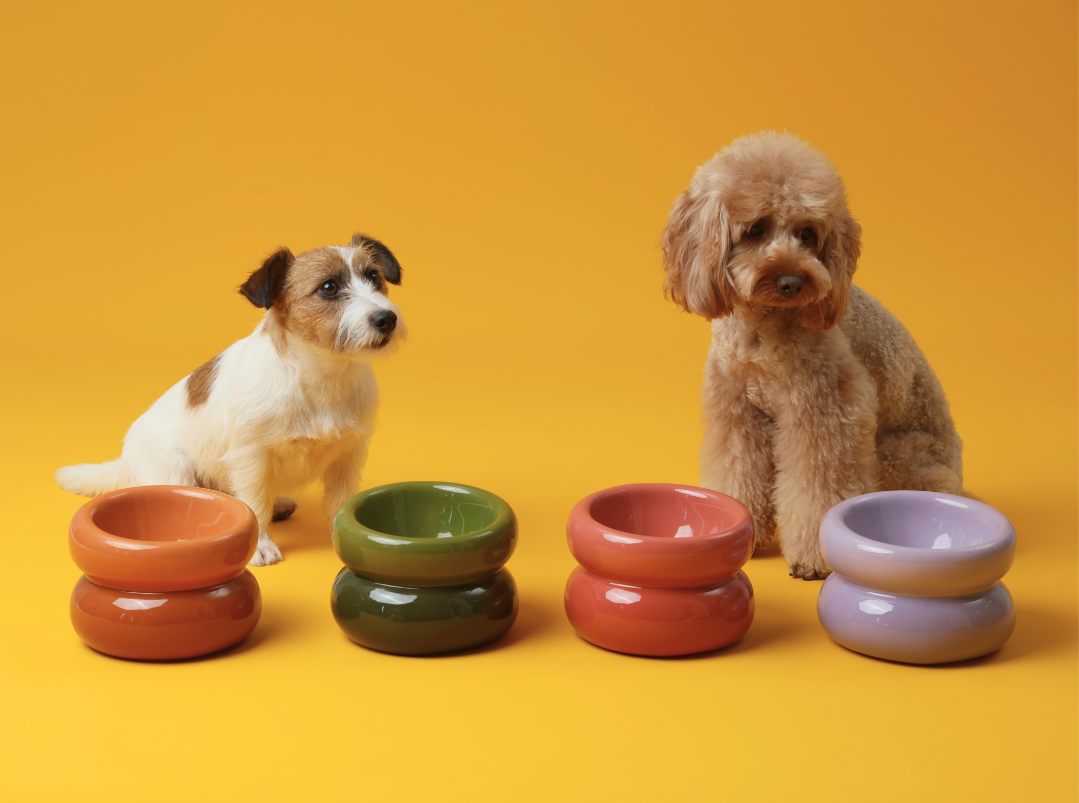 Soufflé Pet Bowl - Frozen Blue