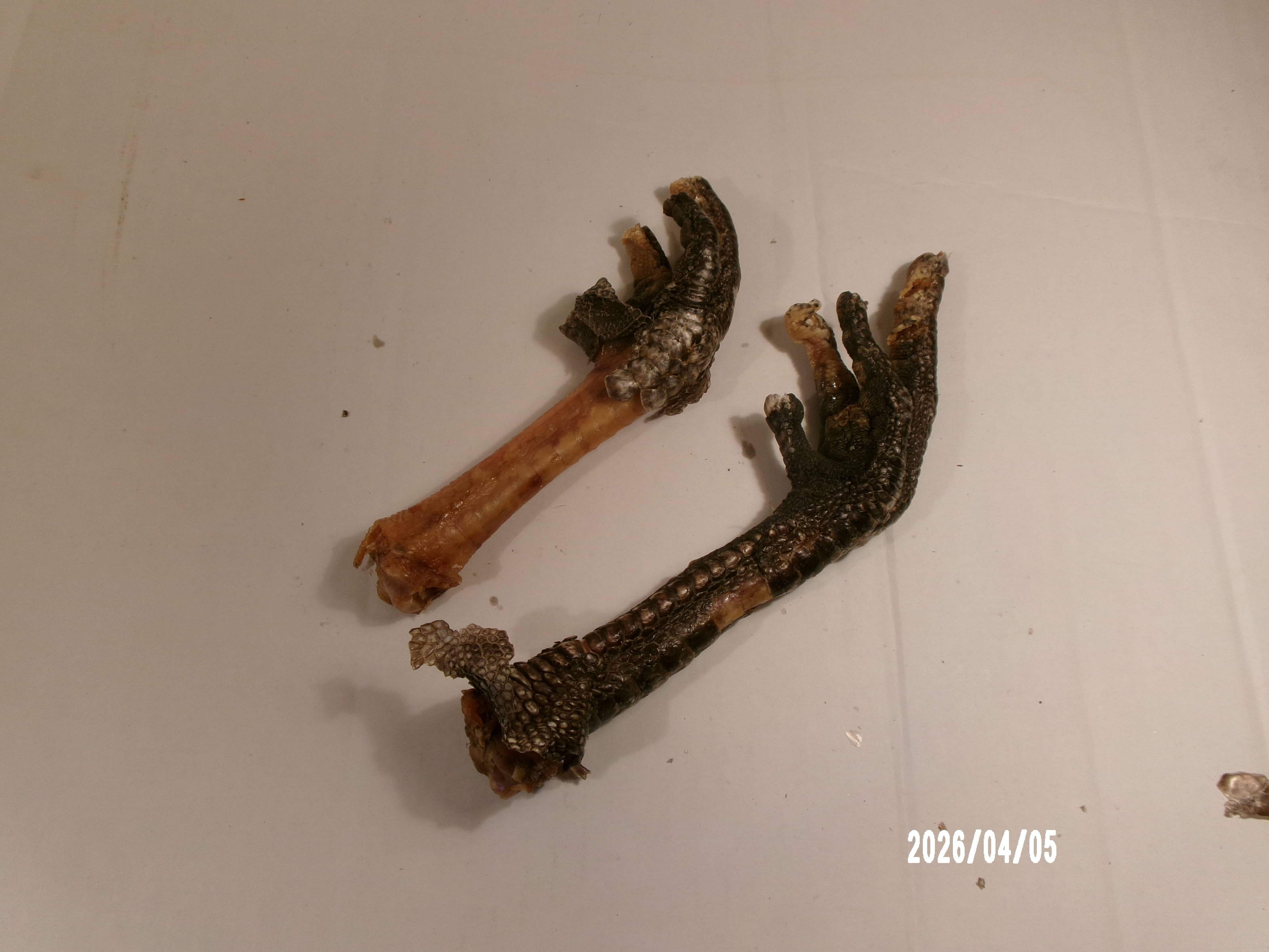 Turkey Feet Dehydrated