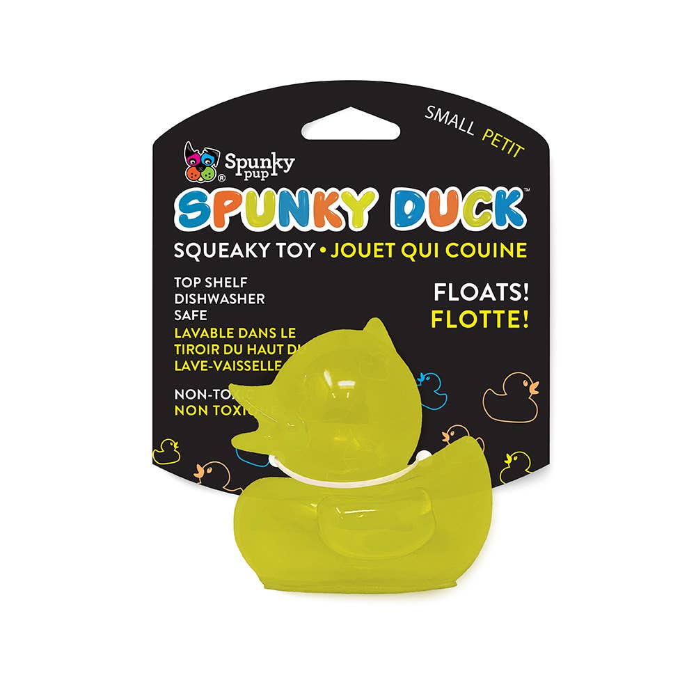 Spunky Squeaky Ducks