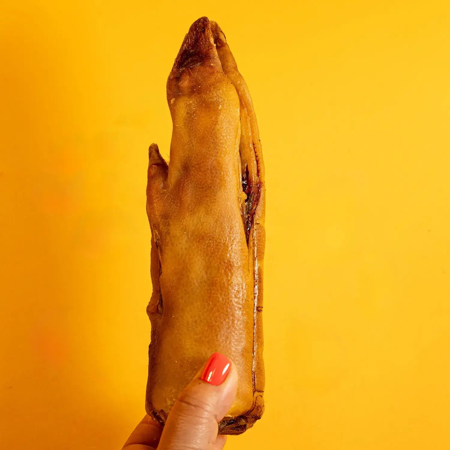 Pig Foot  – 8–9" Long-Lasting Chew for Dogs
