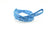 Blue Bandana Leash