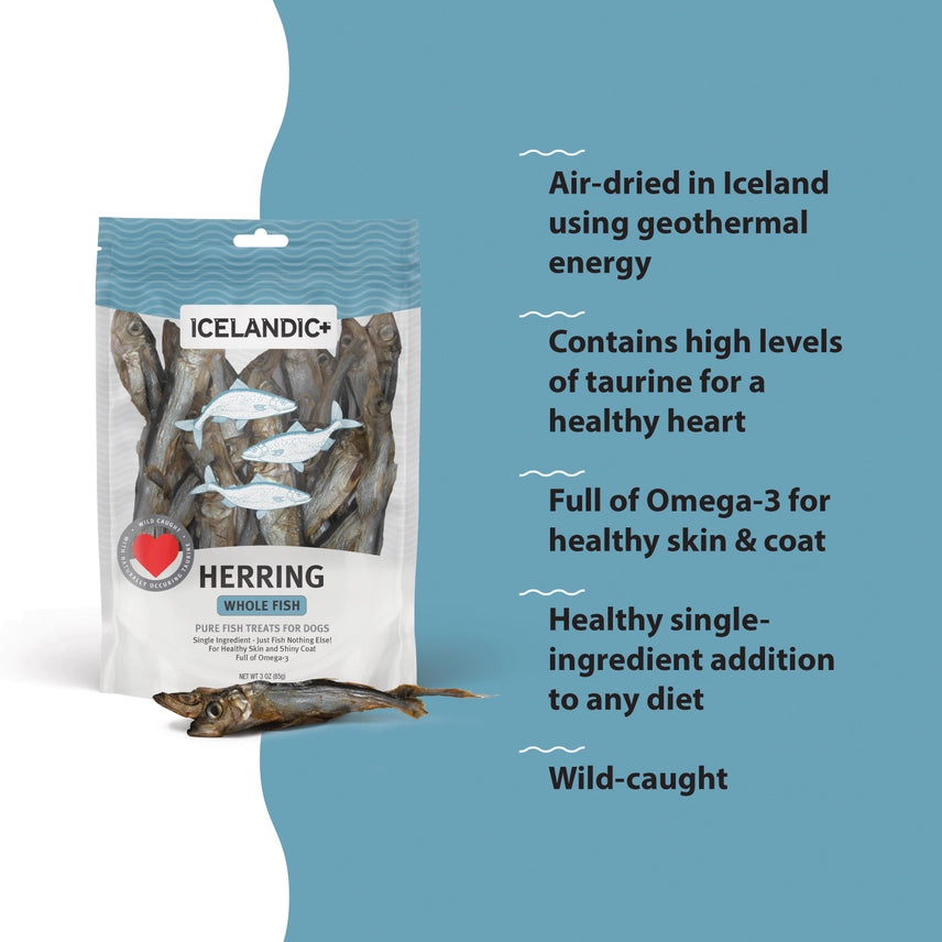 Icelandic Herring Whole Fish Dog Treats