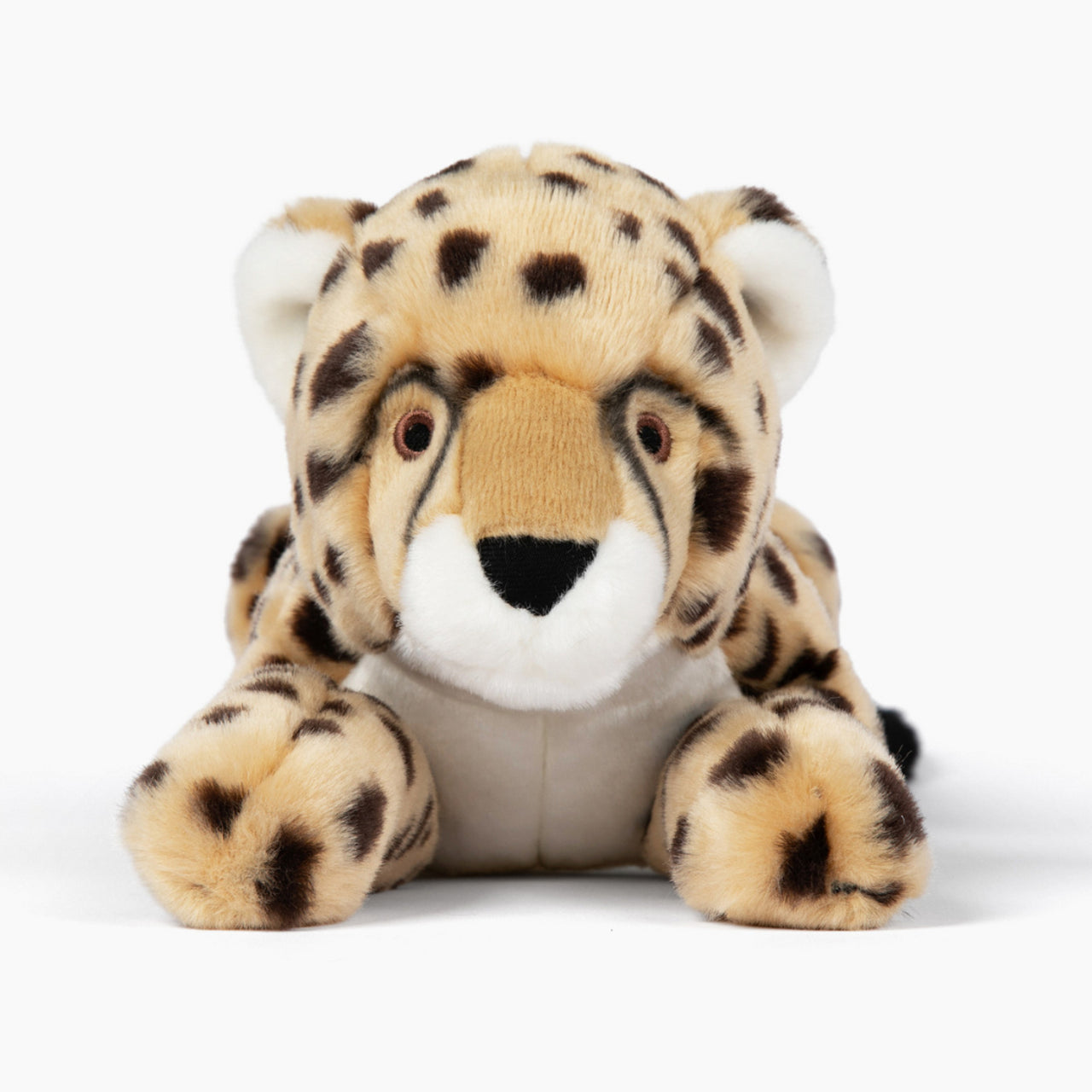 Kali Cheetah