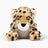Kali Cheetah