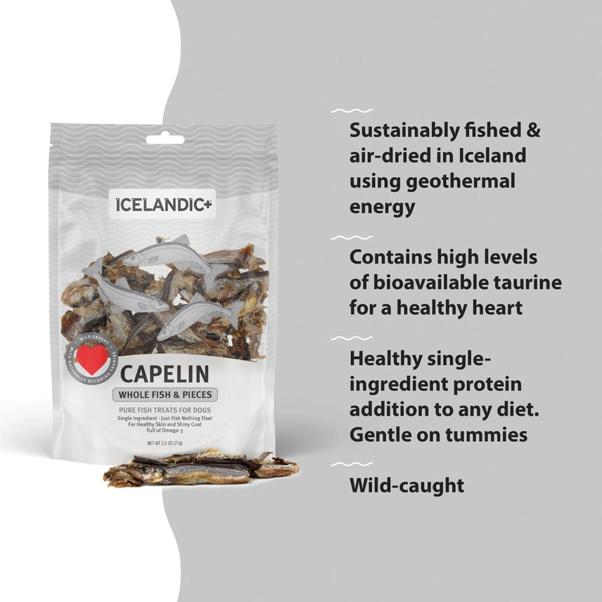 Icelandic Capelin Whole Fish & Pieces Dog Treat