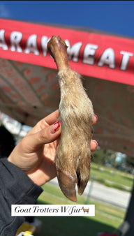 Goat Trotter With Fur