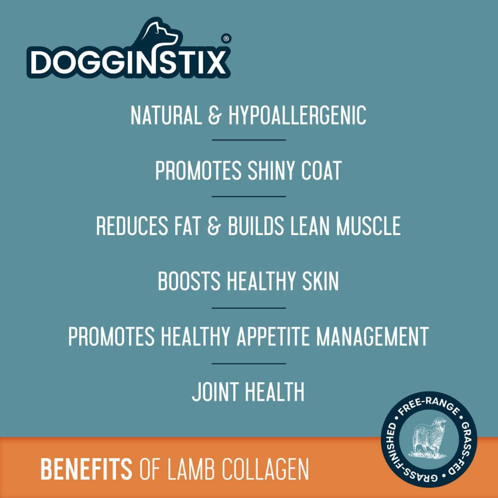 Natural Braided Lamb Collagen Stick Dog Chew - Odor Free Digestive Health Treat