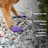 PawZ Rubber Dog Boots, 12 Boots