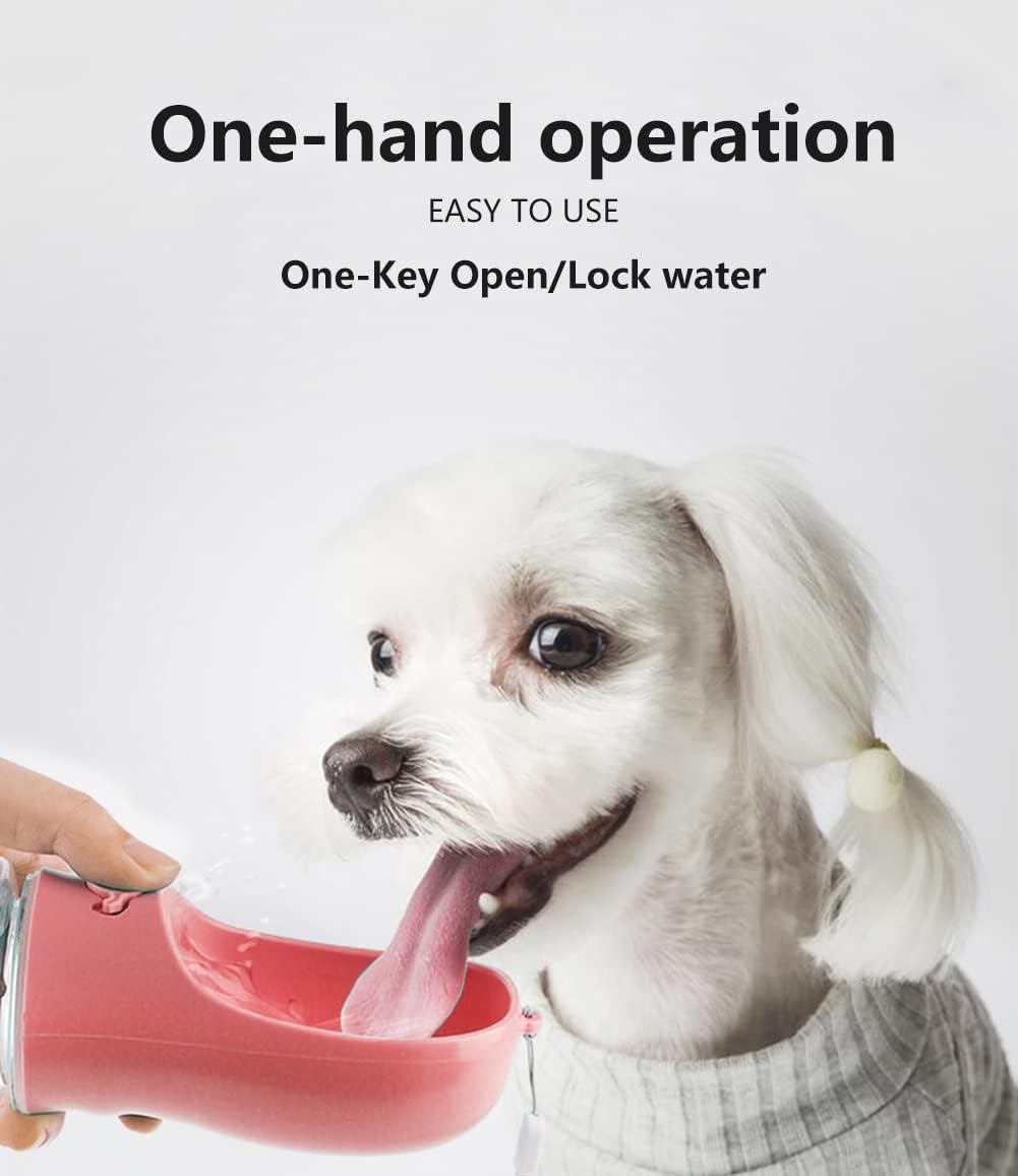 Portable Water Dispenser
