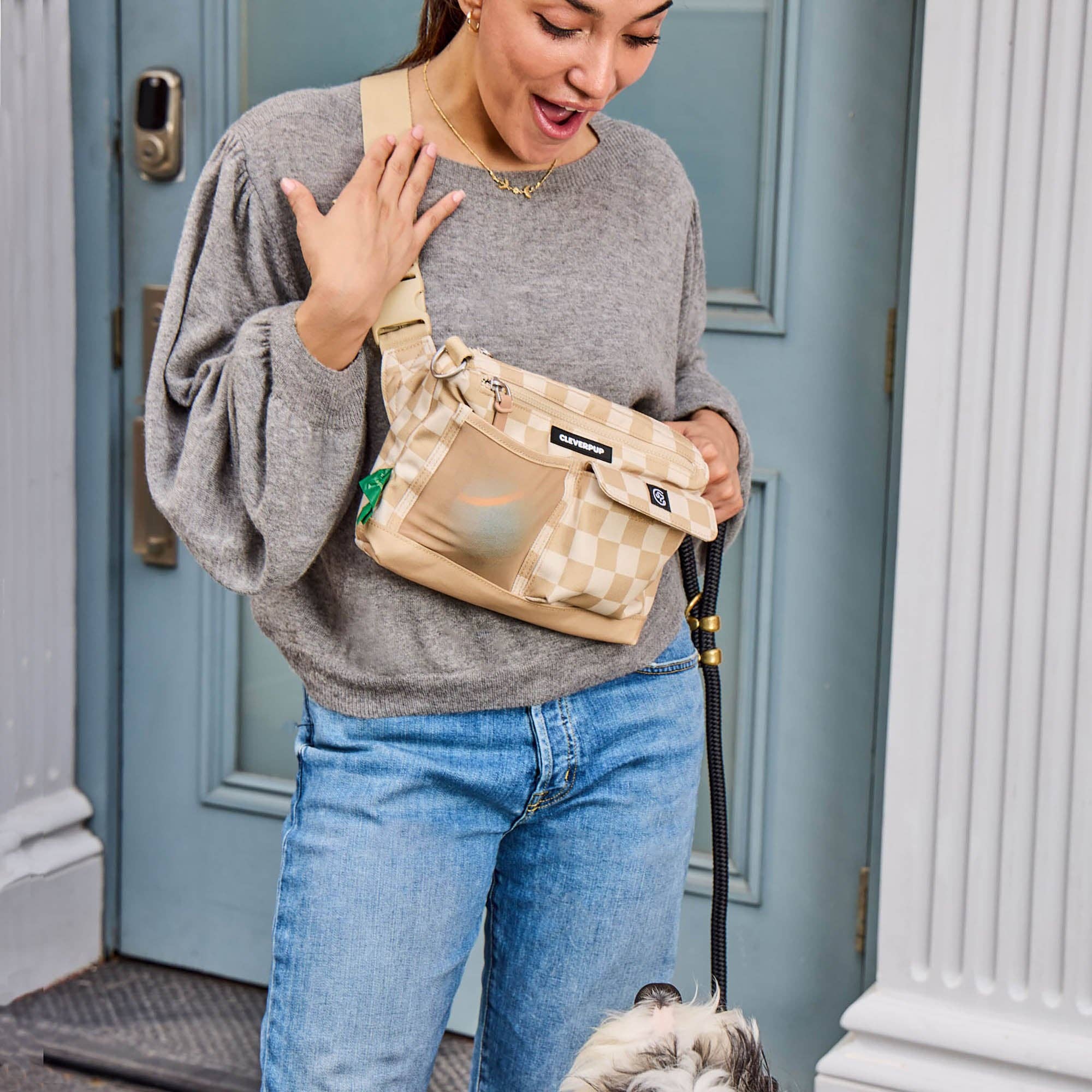 Dog Walk & Train Sling Bag (with squeaker)