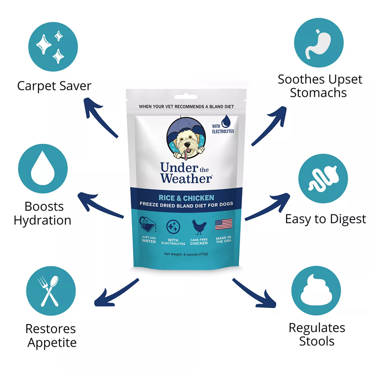 Under the Weather Freeze Dried Bland Diet All Life Stage Dry Dog Food - Rice & Chicken