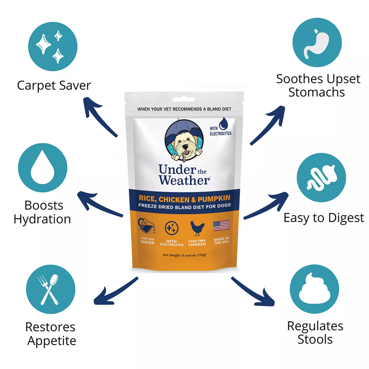 Under the Weather Freeze Dried Bland Diet All Life Stage Dry Dog Food - Rice, Chicken & Pumpkin