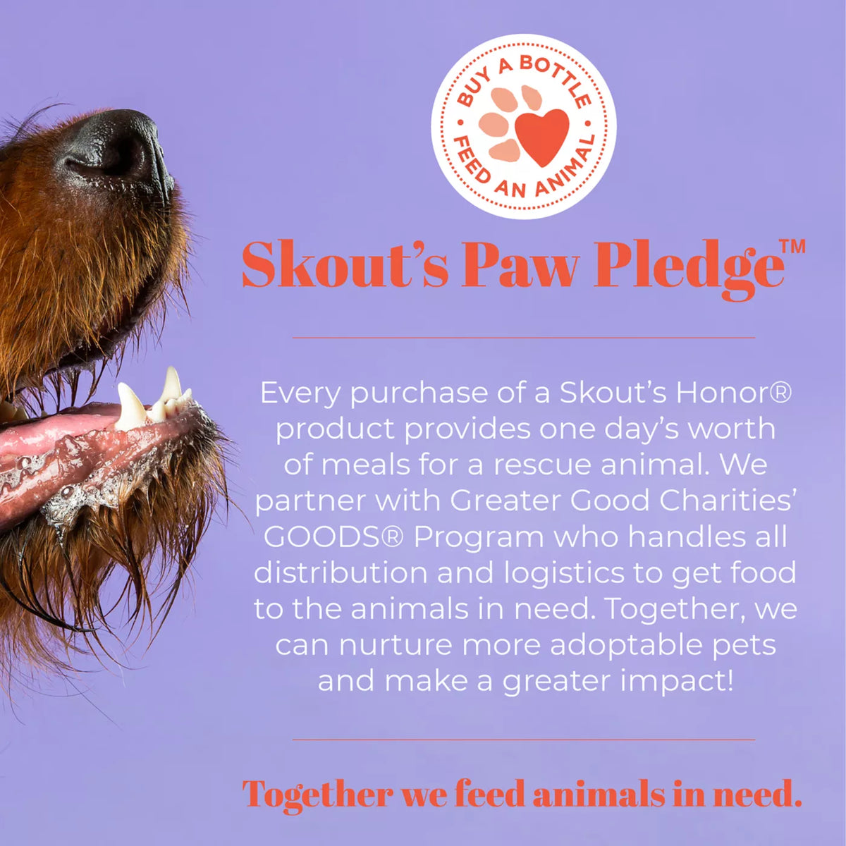 Skout's Honor® Pet Supply Company Wellness Probiotic Hot Spot Hydrogel for Dogs