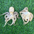 Baby Octopus - Freeze Dried Treats for Dogs & Cat