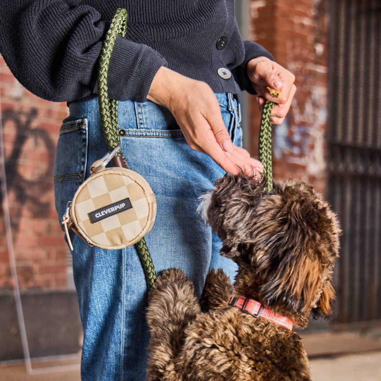 Snackpack Double Insulated Dog Treat Pouch