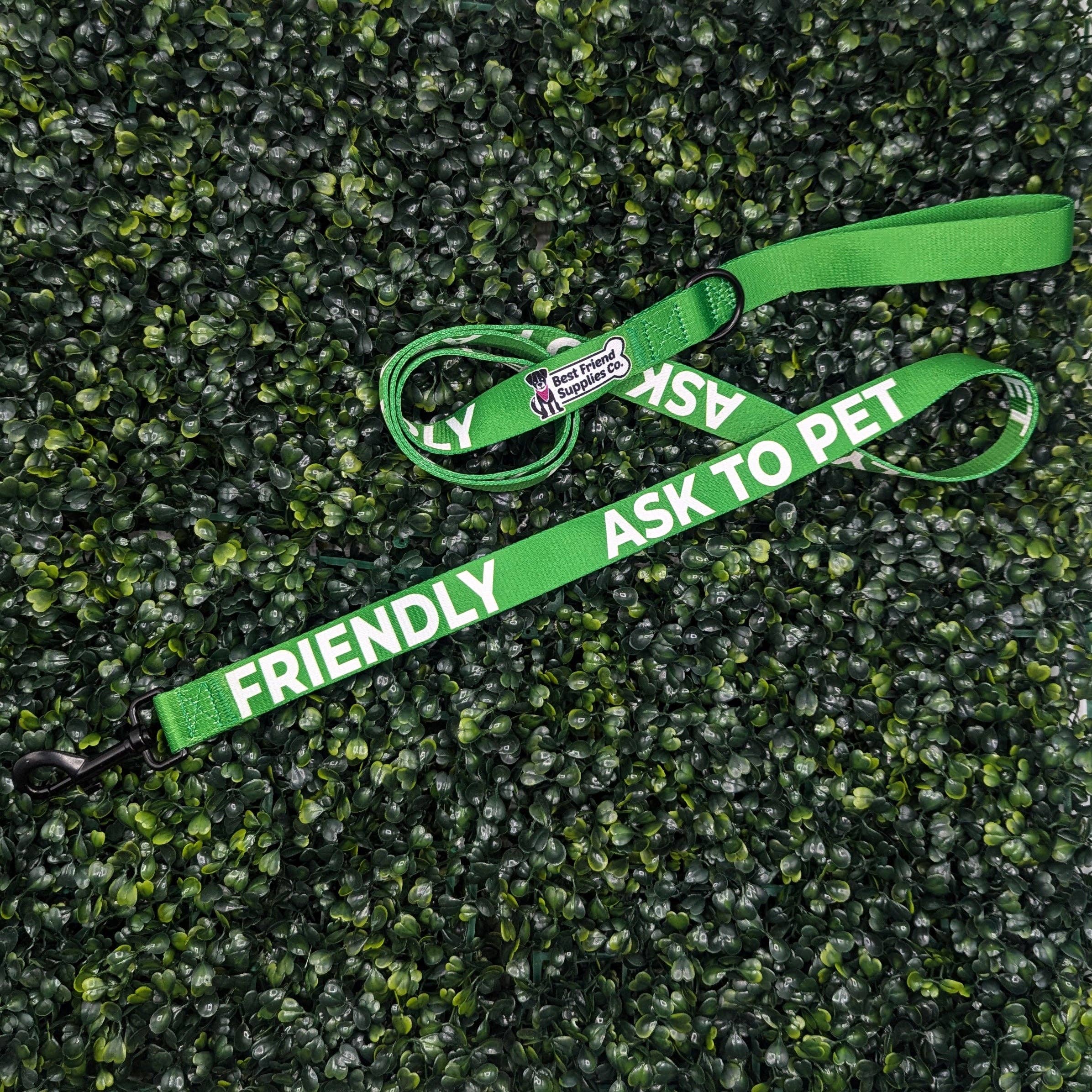 Friendly Ask to Pet Leash