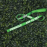 Friendly Ask to Pet Leash