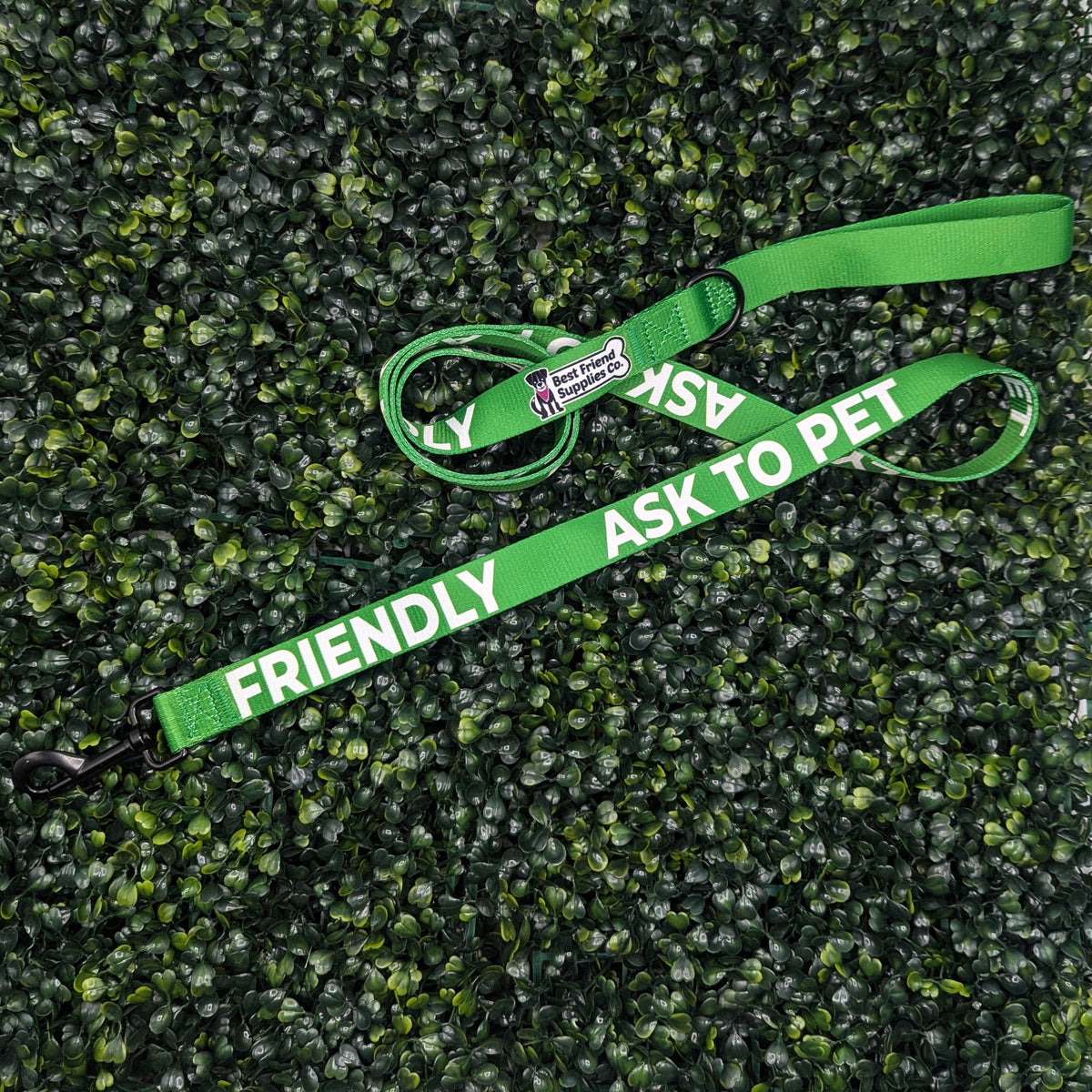 Friendly Ask to Pet Leash