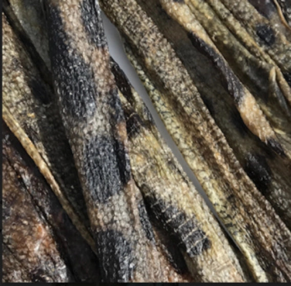 Icelandic Wolffish Stick & Pieces Fish Skin Chew Dog Treat