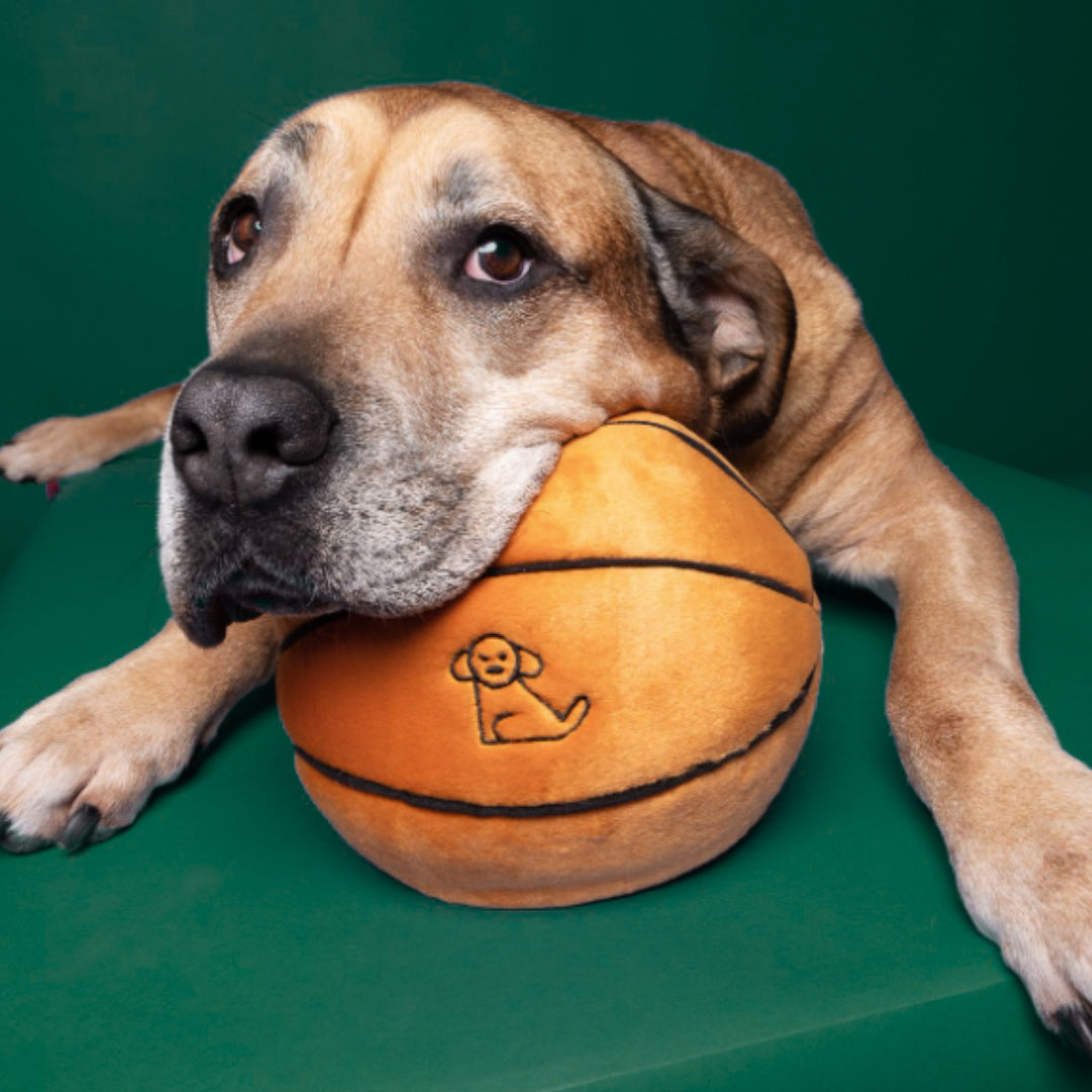 Fluff & Tuff Basketball