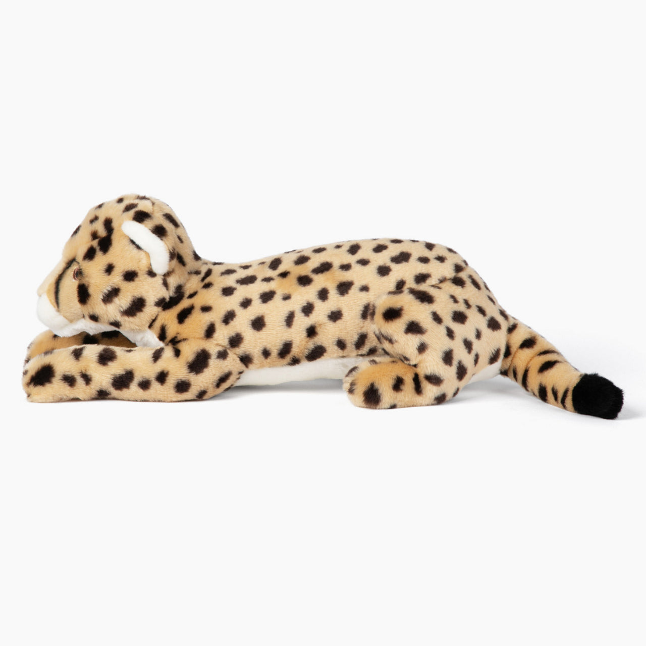 Kali Cheetah