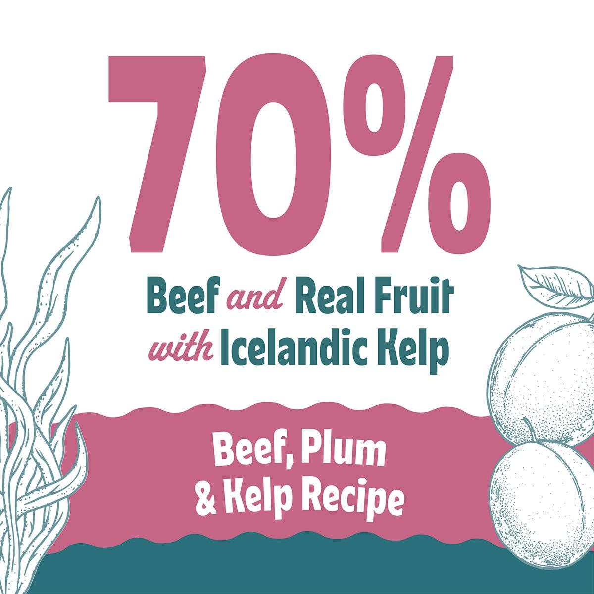 Beef, Plum & Kelp Recipe Soft & Chewy Bites for Dogs