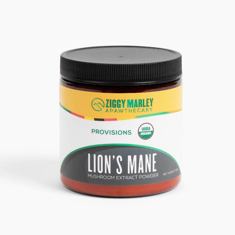 Lion's Mane Mushroom Powder