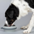 Nomad Collapsible Dog Bowl- Large