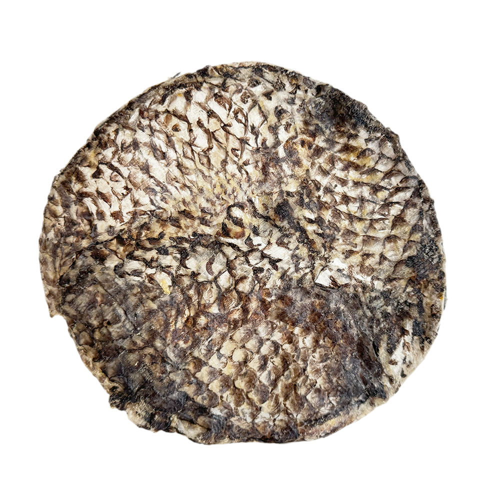 Furs-bee® Tilapia