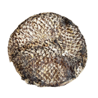 Furs-bee® Tilapia