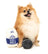 Milk & Cookie Plush Dog Toy 2pk