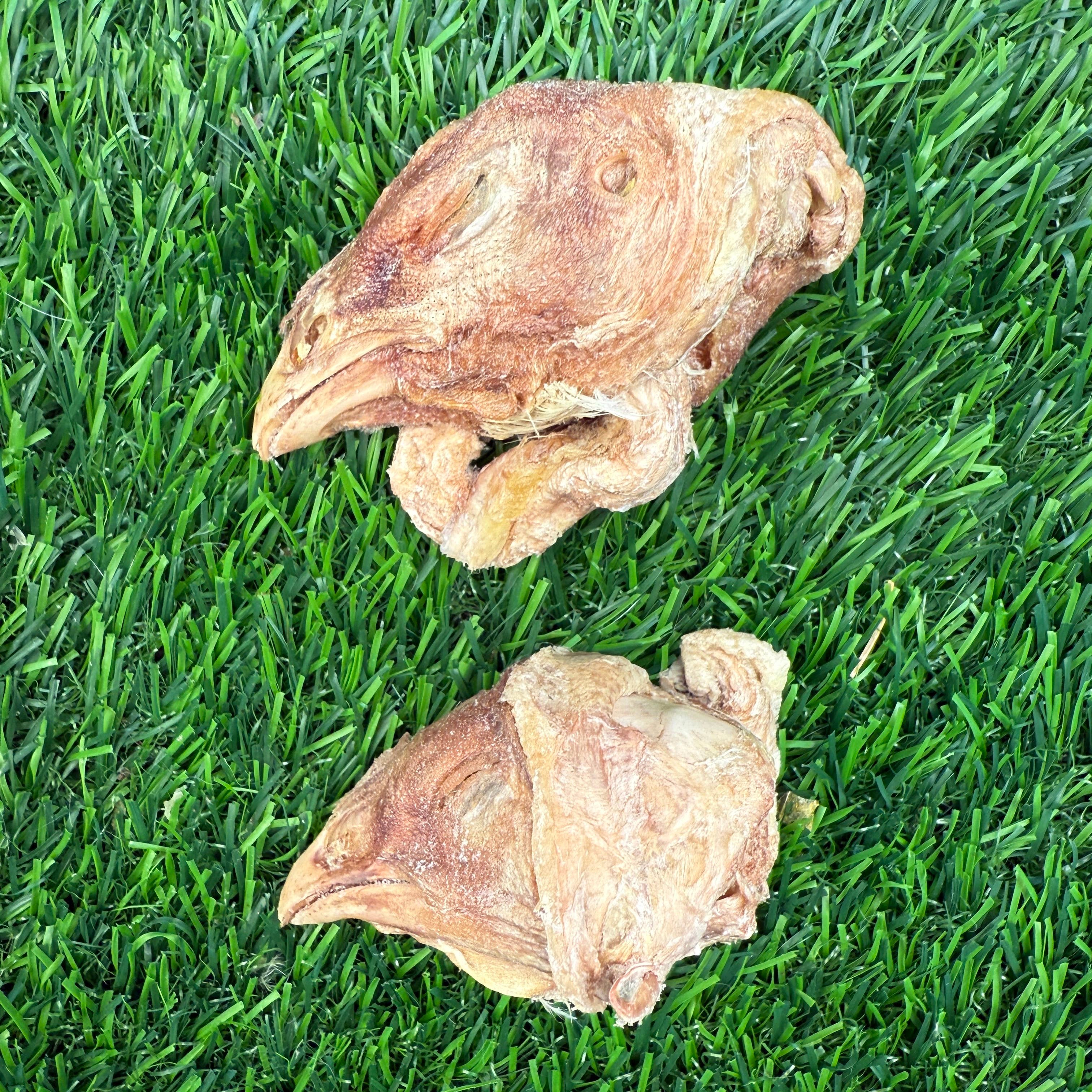 Chicken Head - Freeze-Dried Treat for Dogs