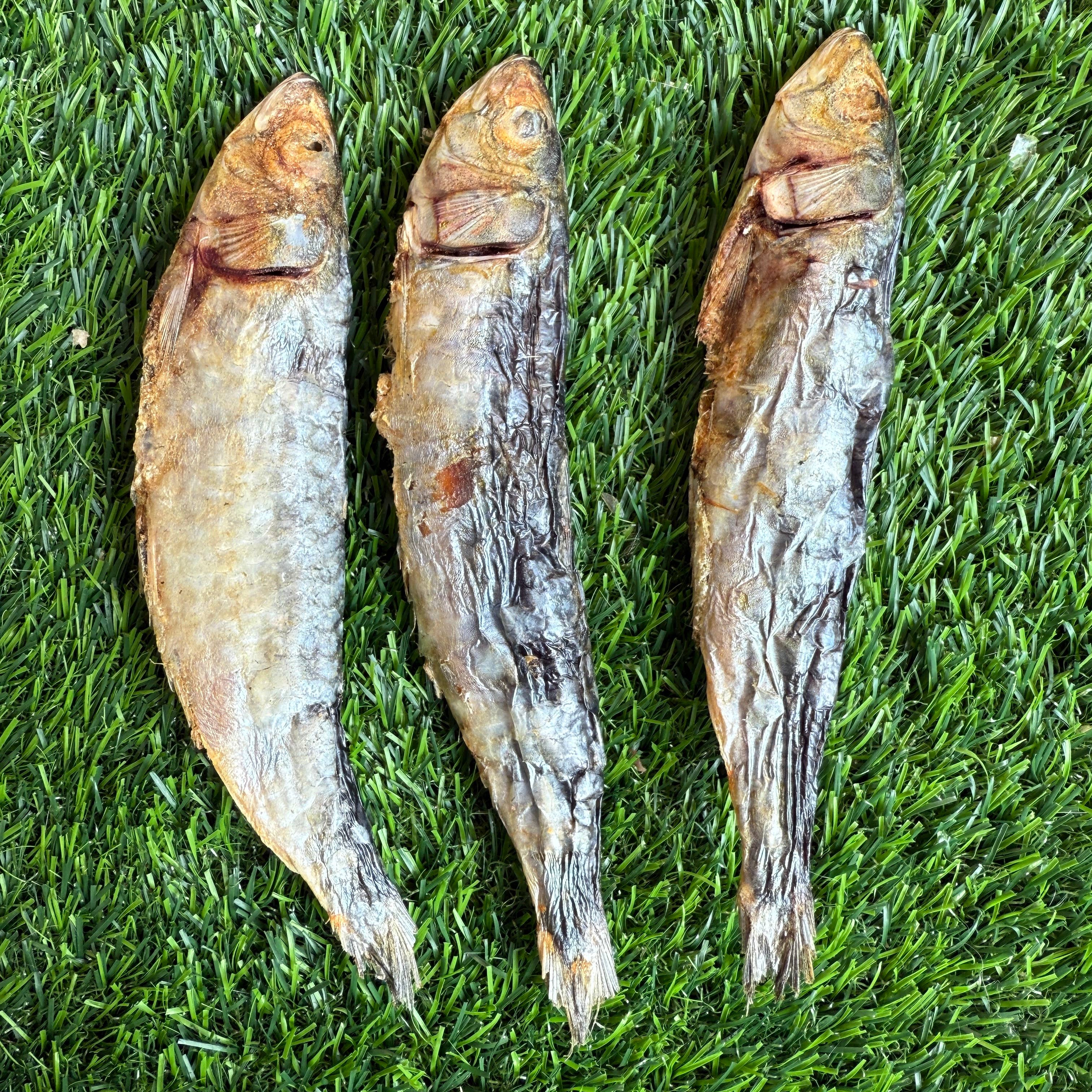 Sardines - 5" to 7" in & Freeze-Dried Treat for Dogs & Cats